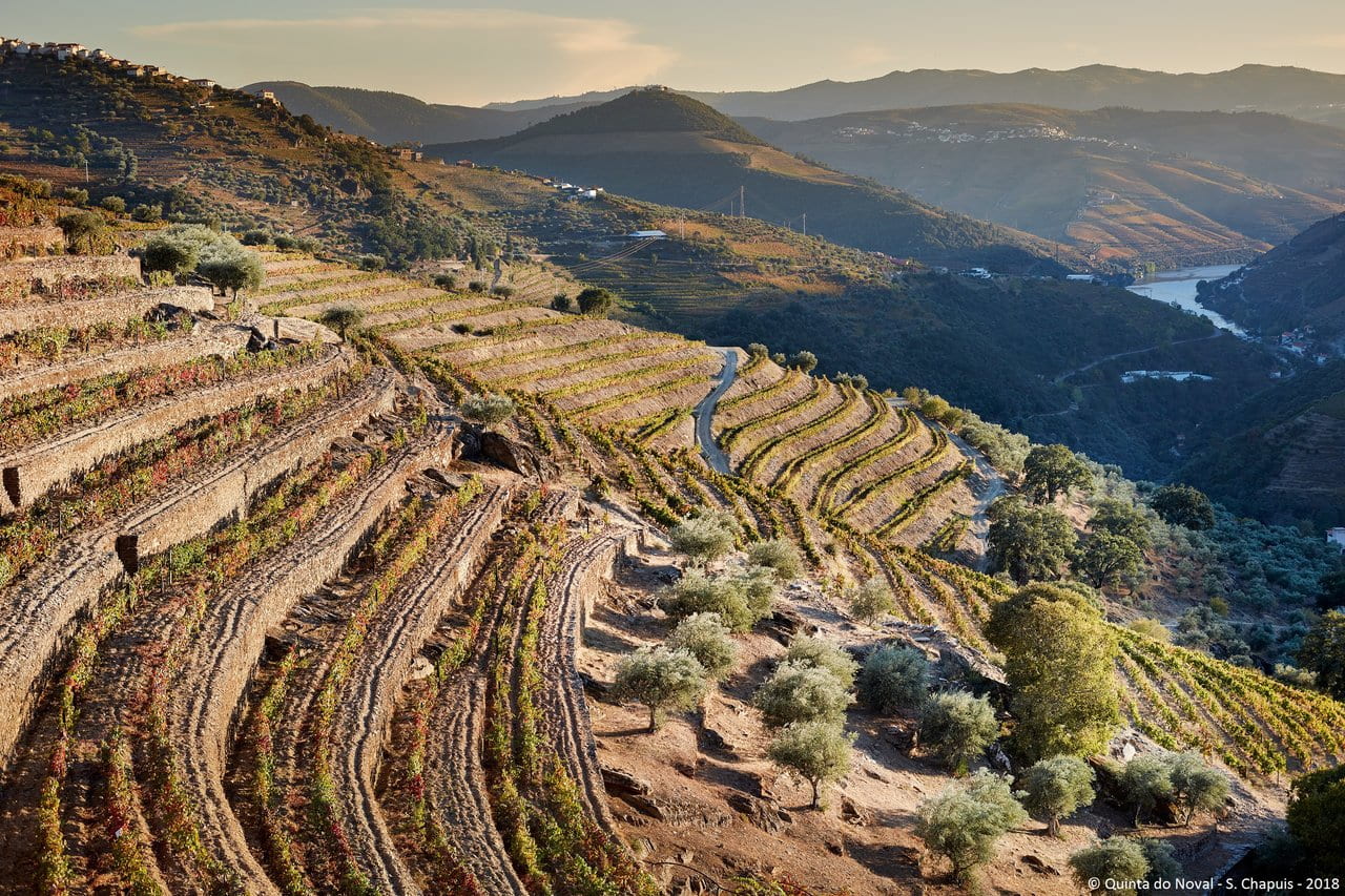 © Quinta do Noval - Serge Chapuis - 2018