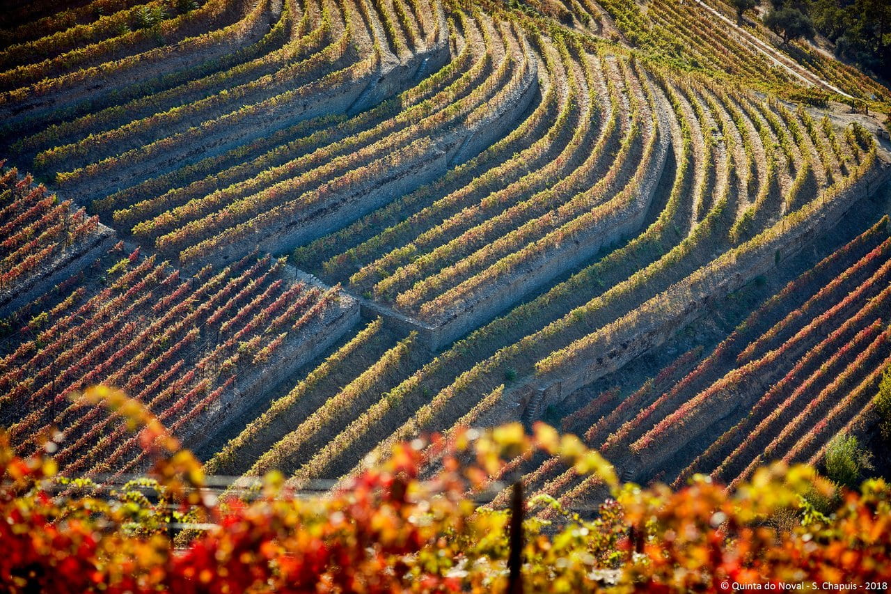 © Quinta do Noval - Serge Chapuis - 2018