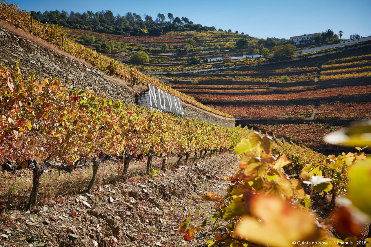 © Quinta do Noval - Serge Chapuis - 2018