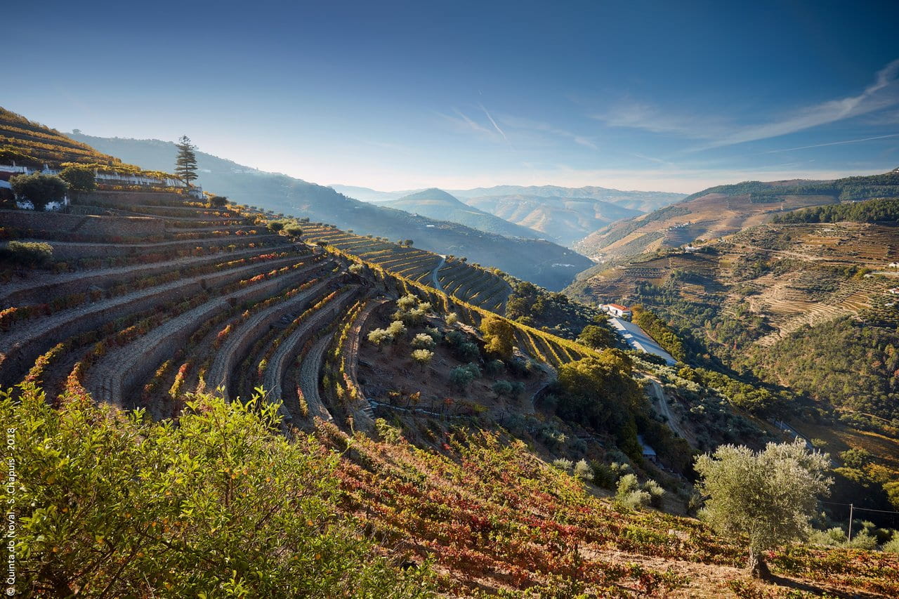 © Quinta do Noval - Serge Chapuis - 2018