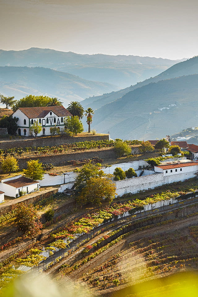 Portugal VDL Porto Rouge Noval